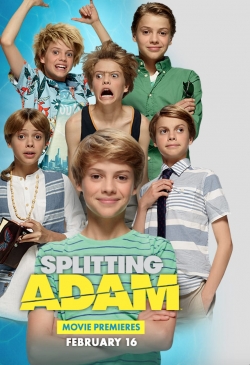 watch Splitting Adam Movie online free in hd on MovieMP4